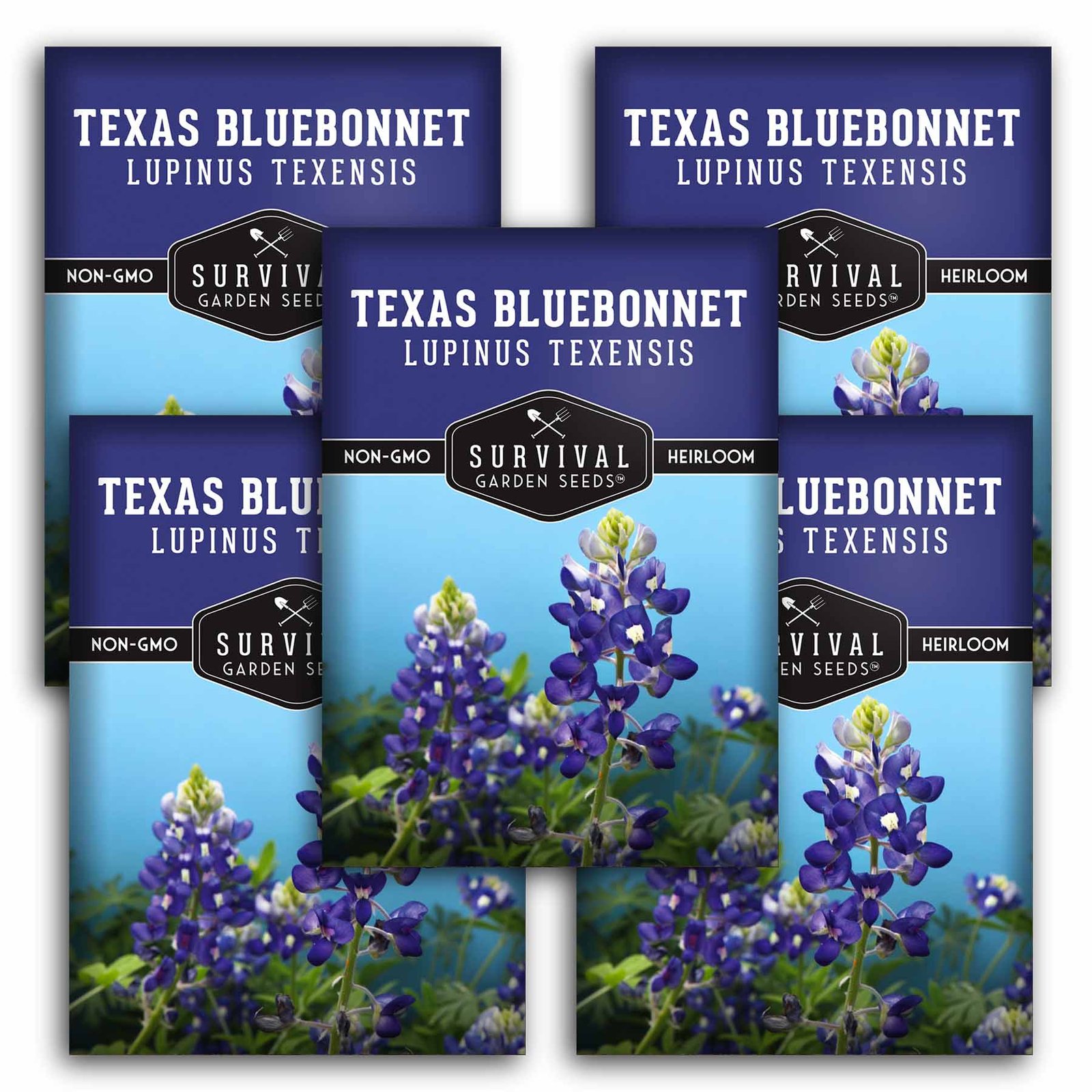 Texas-Bluebonnet-01.5.jpg