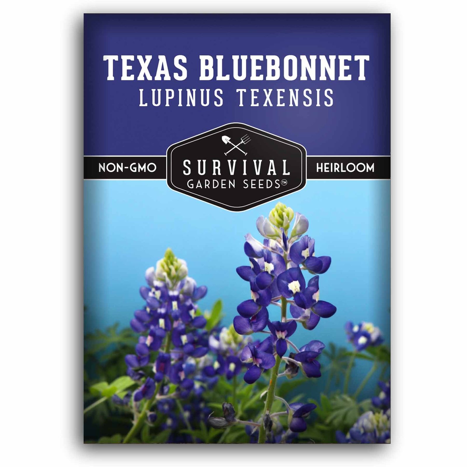 Texas-Bluebonnet-01.jpg