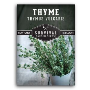 Thyme Seeds – Heirloom Culinary Herb for Seasoning, Ground Cover & Container Gardens | Non-GMO Perennial Variety