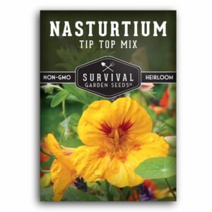 Tip Top Mix Nasturtium Seeds – Edible Flowers & Leaves for Salads, Containers & Companion Planting
