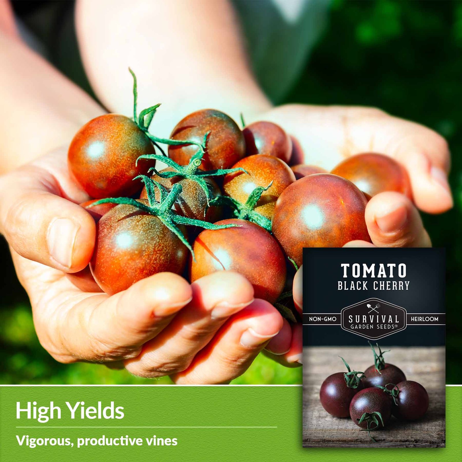 Tomato-Black-Cherry-04.jpg