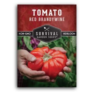 Red Brandywine Tomato Seeds – Indeterminate Amish Heirloom Beefsteaks with Sweet, Low-Acid Flavor
