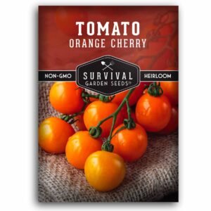 Orange Cherry Tomato Seeds – Indeterminate Sweet Golden Cherry Tomatoes for Snacking, Salads & Garden Fresh Eating