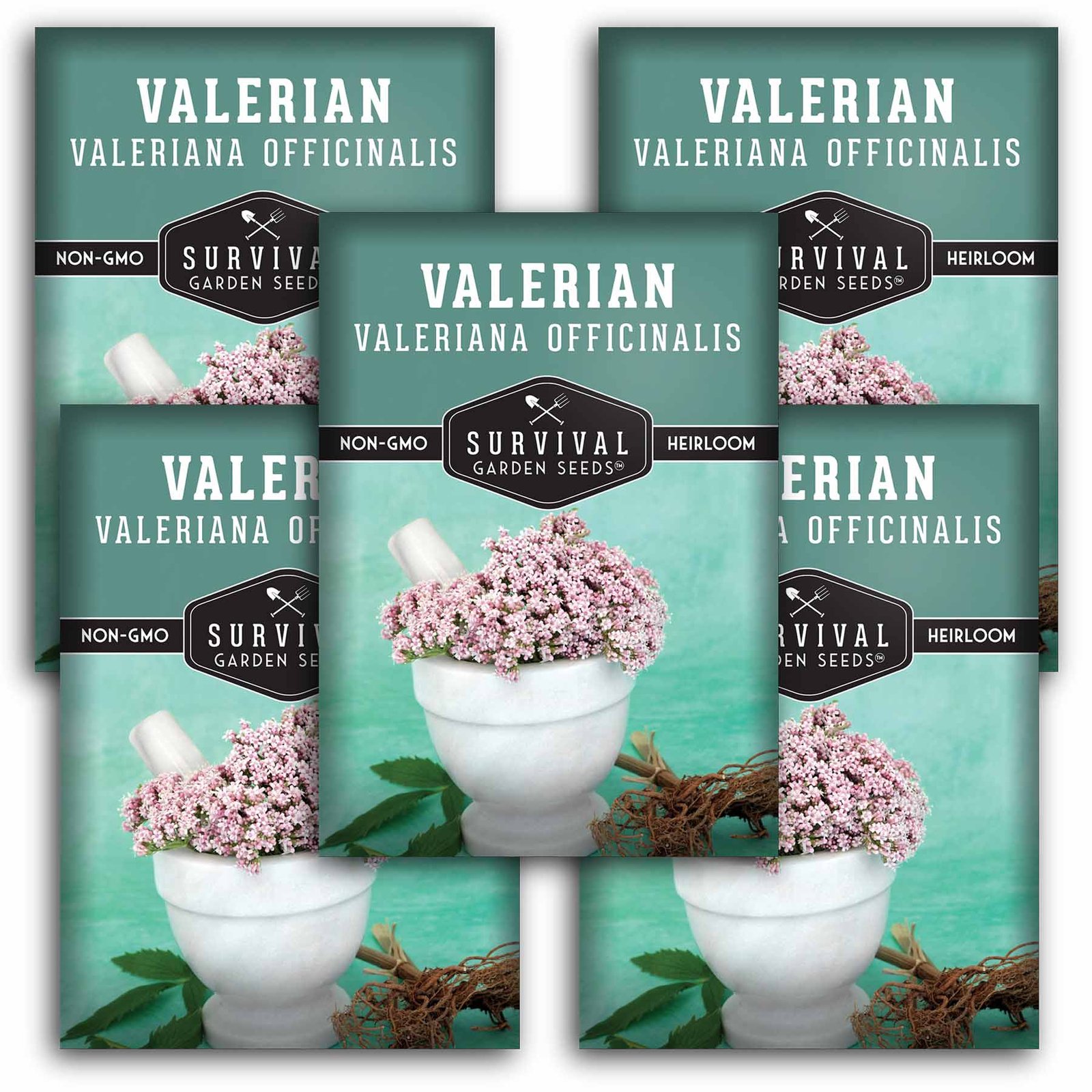Valerian-01.5.jpg