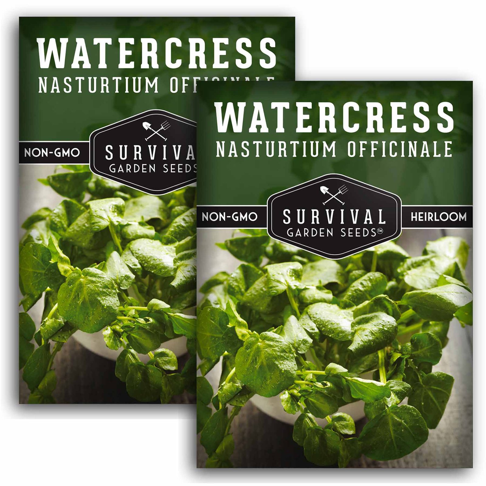 Watercress-01.2.jpg