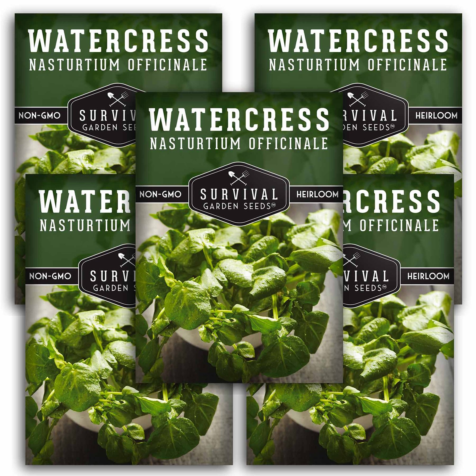 Watercress-01.5.jpg