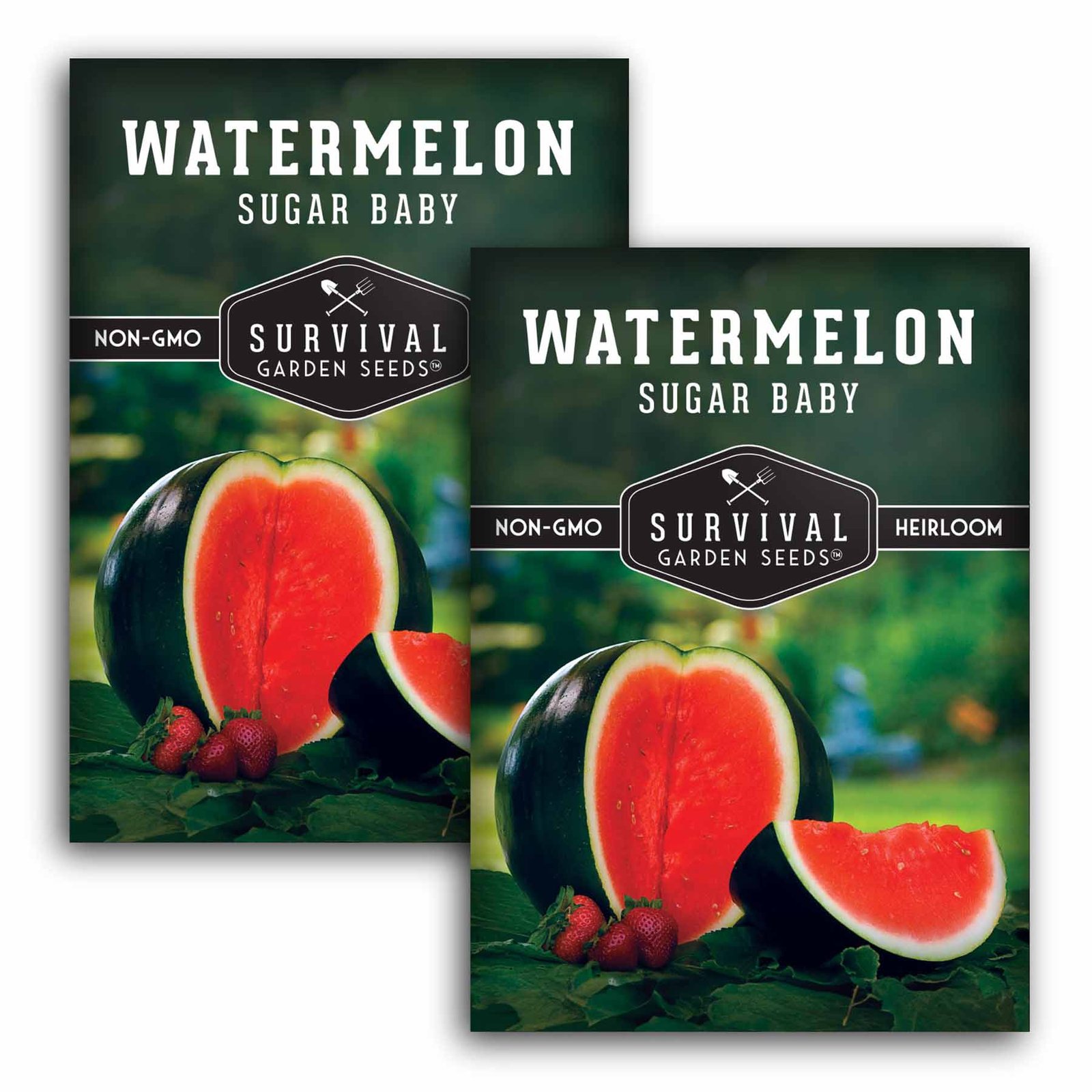 WatermelonSugarBaby-1.2.jpg