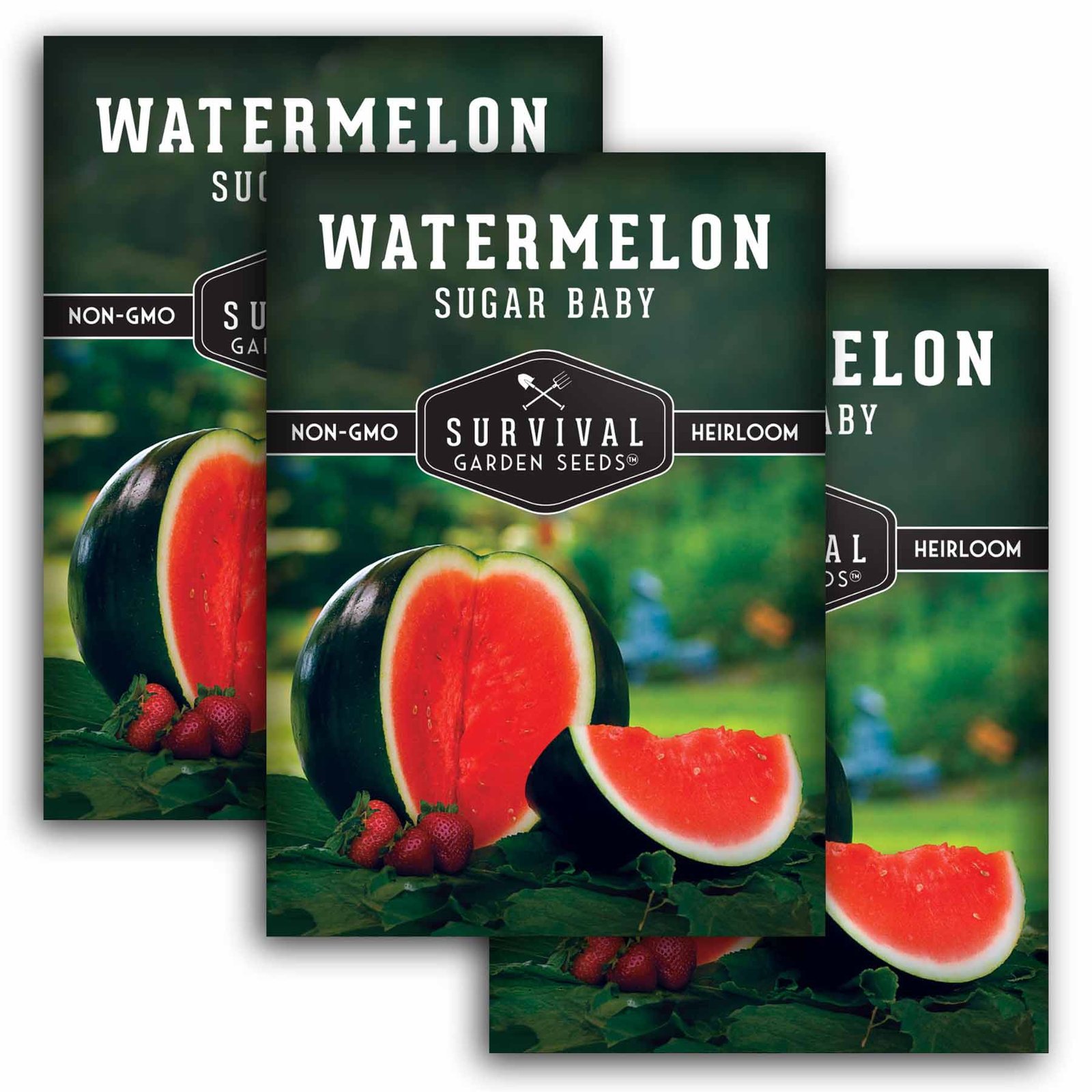 WatermelonSugarBaby-1.3.jpg