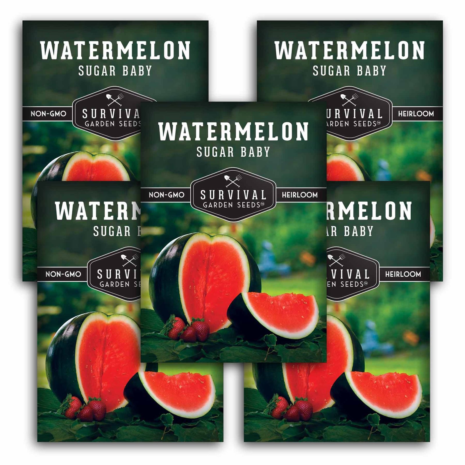 WatermelonSugarBaby-1.5.jpg