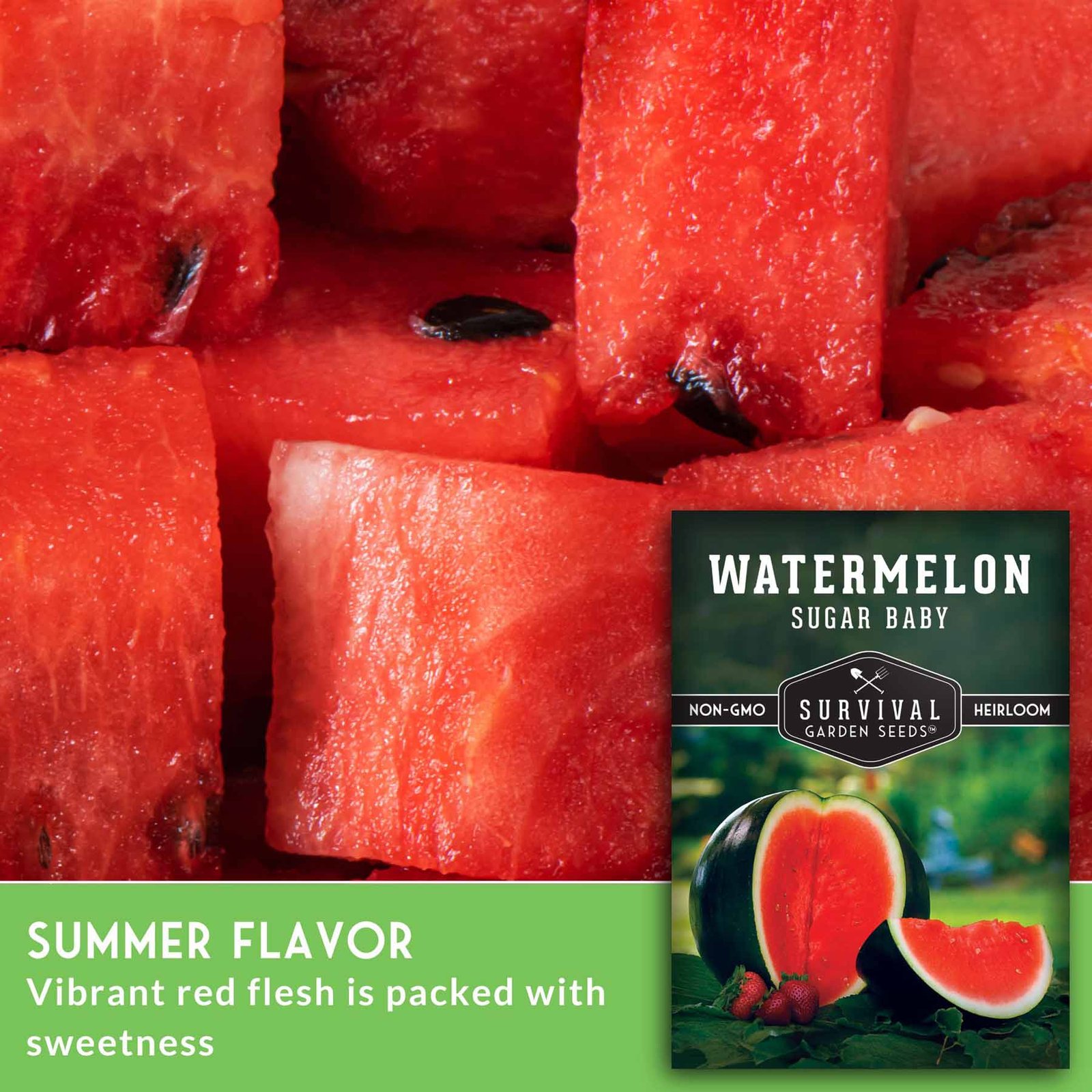 WatermelonSugarBaby-3.jpg