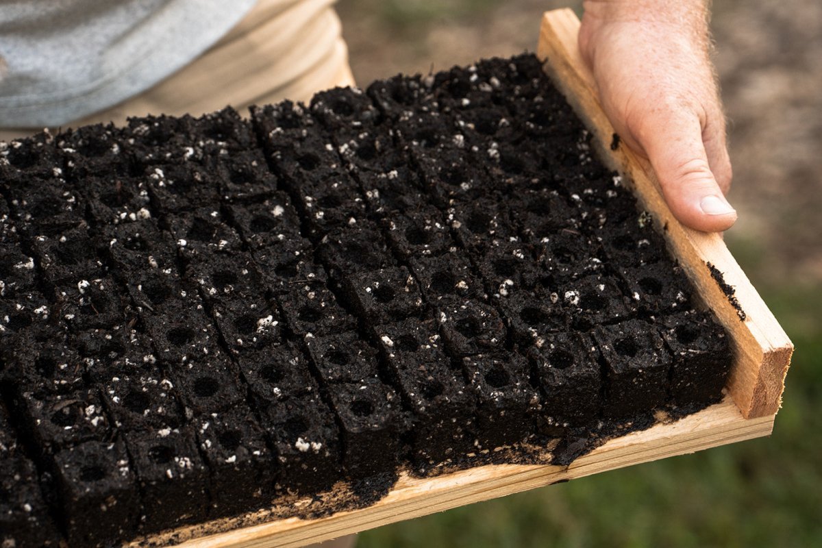 soil-blocker-standing-35-ladbrooke-147177.jpg